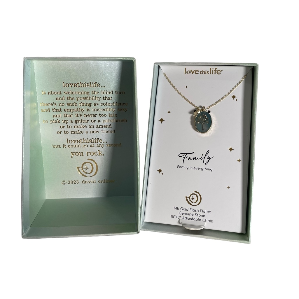 Love This Life Family Tree Amazonite Heart Charm Necklace 16 Adjustable 15$